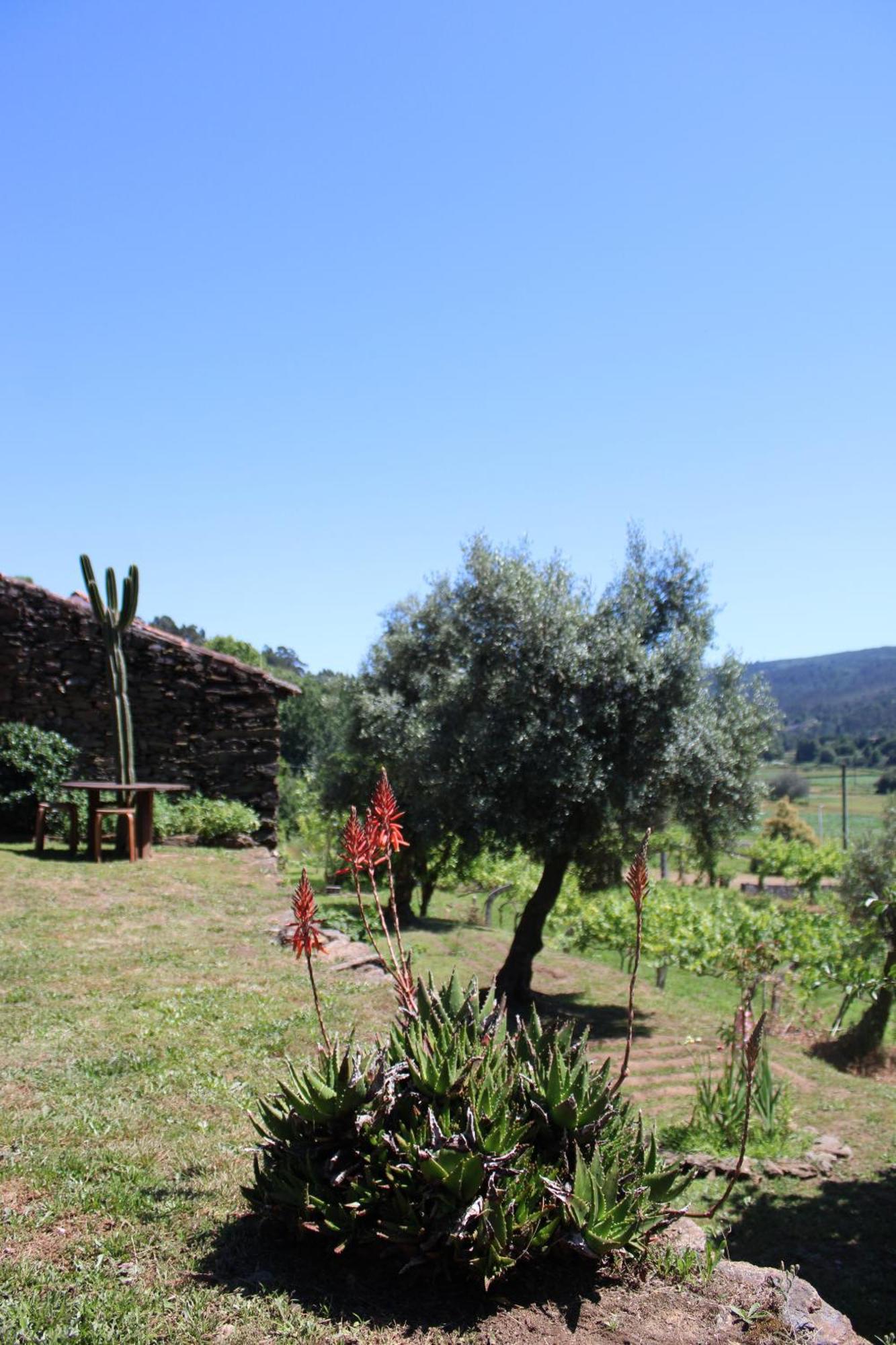 Villa Lugar Da Lourida Caminha Exterior foto